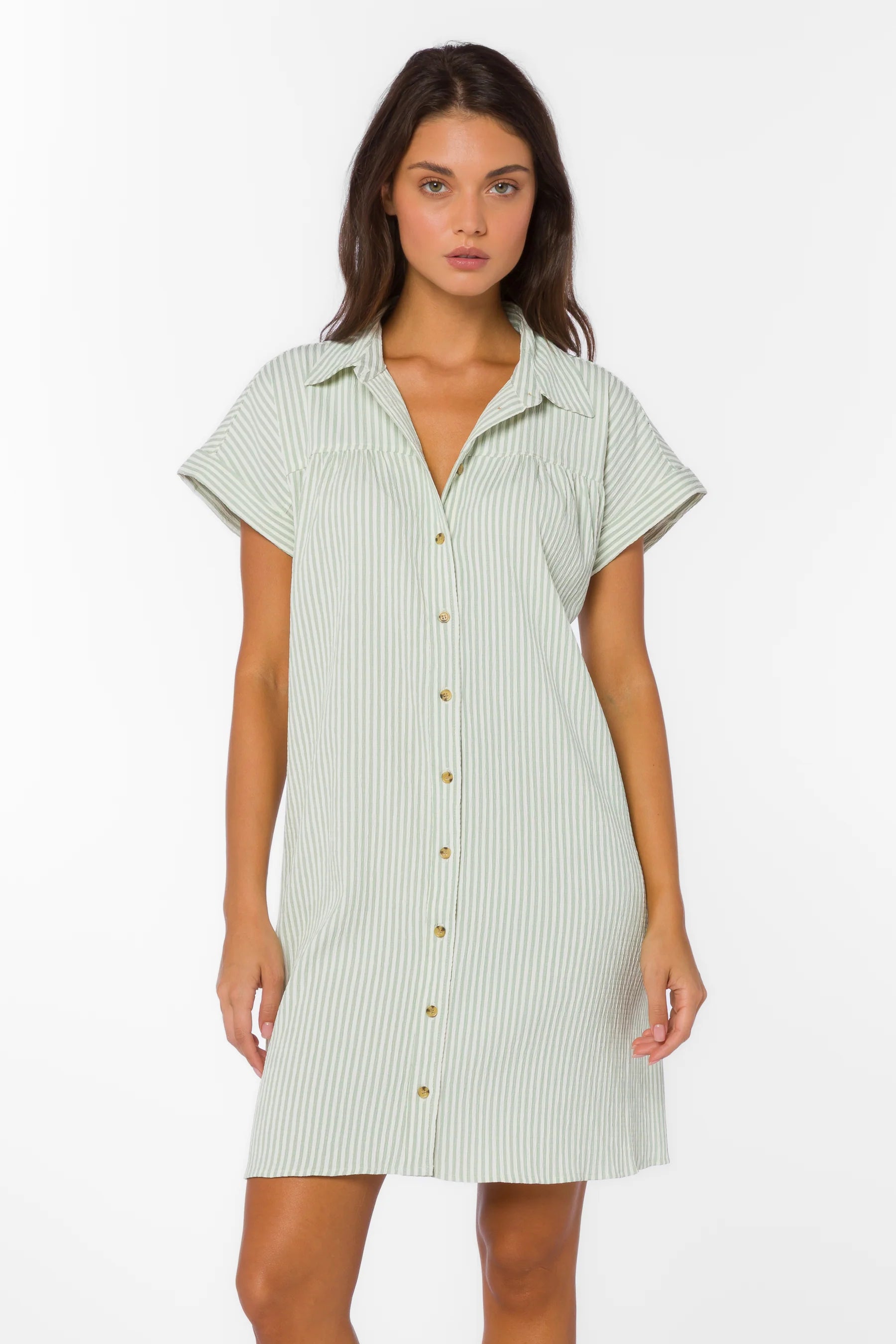 VELVET HEART MERILEE STRIPE DRESS--SAGE